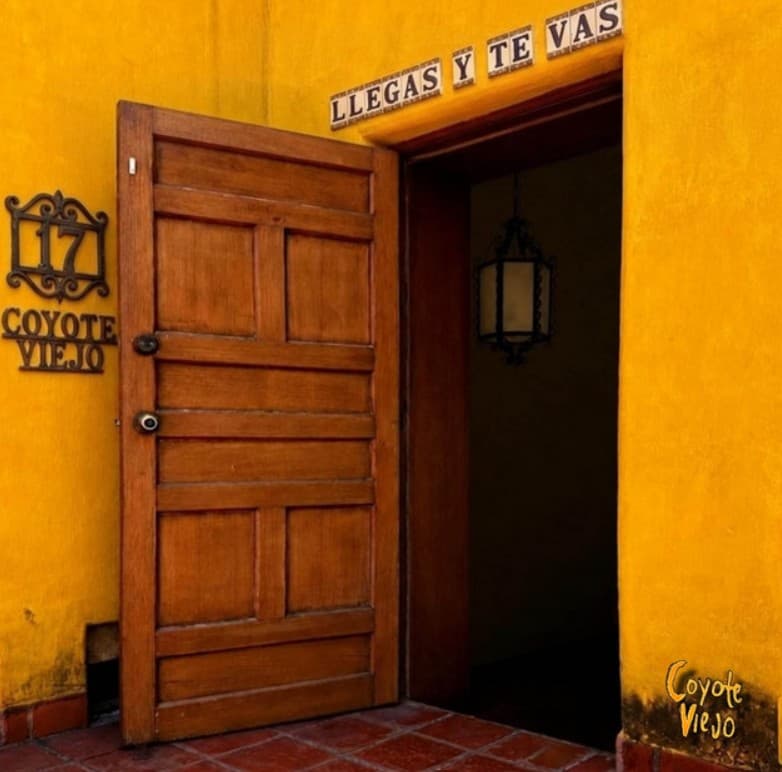 Portada de LLEGAS Y TE VAS